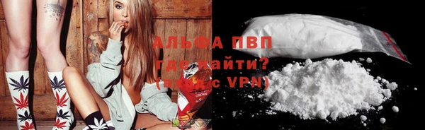 молекула духа Верхний Тагил