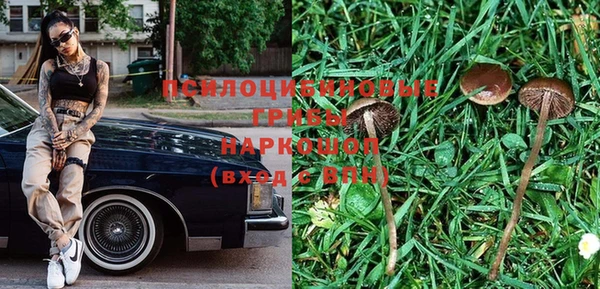 молекула духа Верхний Тагил