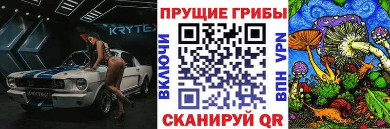 Псилоцибиновые грибы мицелий  Купить закладки  Новохопёрск 